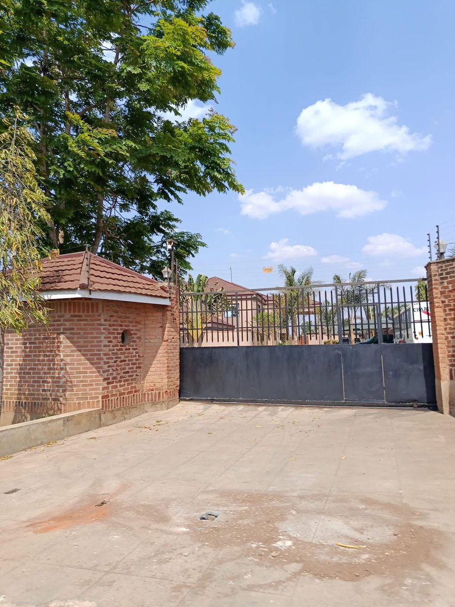 Sanny Zyto  tweet media