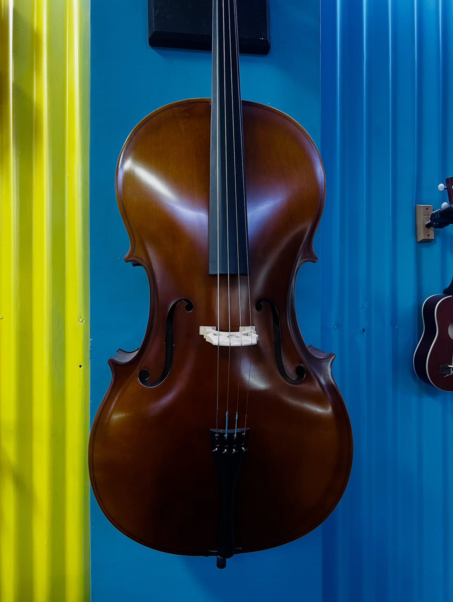 For players who want to stand out — the cello isn’t just an instrument, it’s a statement. 🎶

#hedgehogcreative #musicshop
