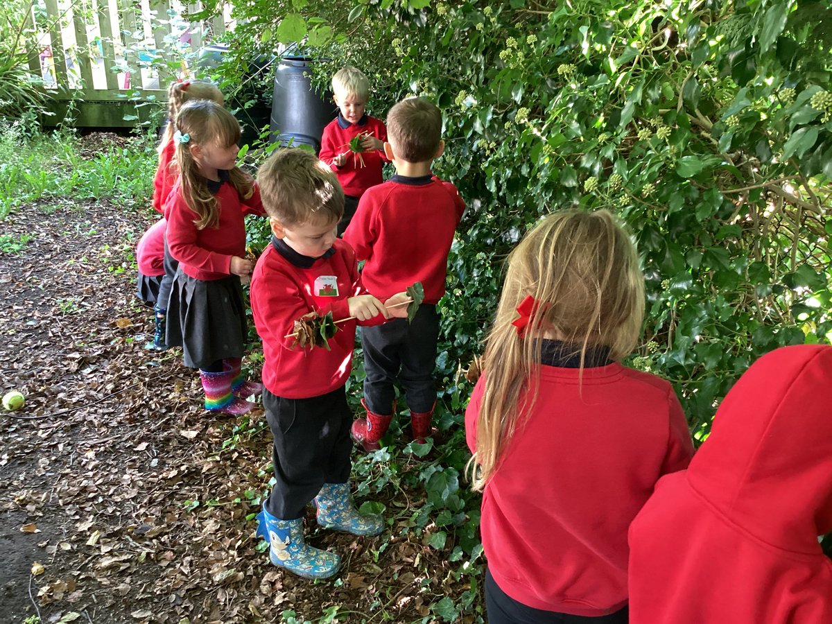 Dosbarth Mrs Carr tweet media