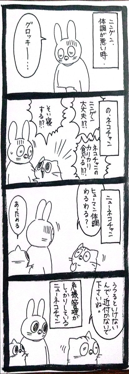 鯖缶悠樹🍌🍄の山党こしあん派🕯 (@yu_ki203RTR): 