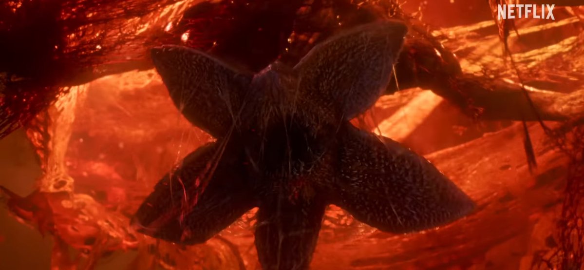 011scenes's tweet image. what if THIS is the wheeler house attack???