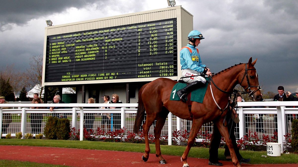 MAD MOOSE was an absolute legend, no matter how many times he caused chaos at the starts by refusing to race, he knew exactly what he did and didn't want to do...

An inspiration in life if anything 😂 RR-RR-RR-RR-RR-RIP old boy!

<a href="/MadMooseNTD/">Mad Moose</a>