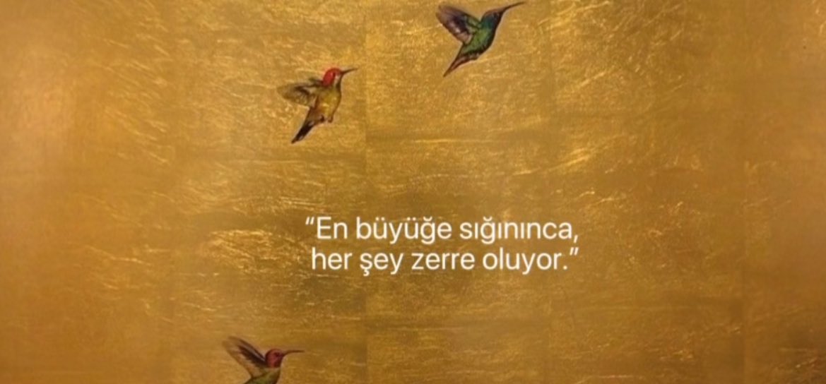 Gül Başkurt (@veraolmak) on Twitter photo 