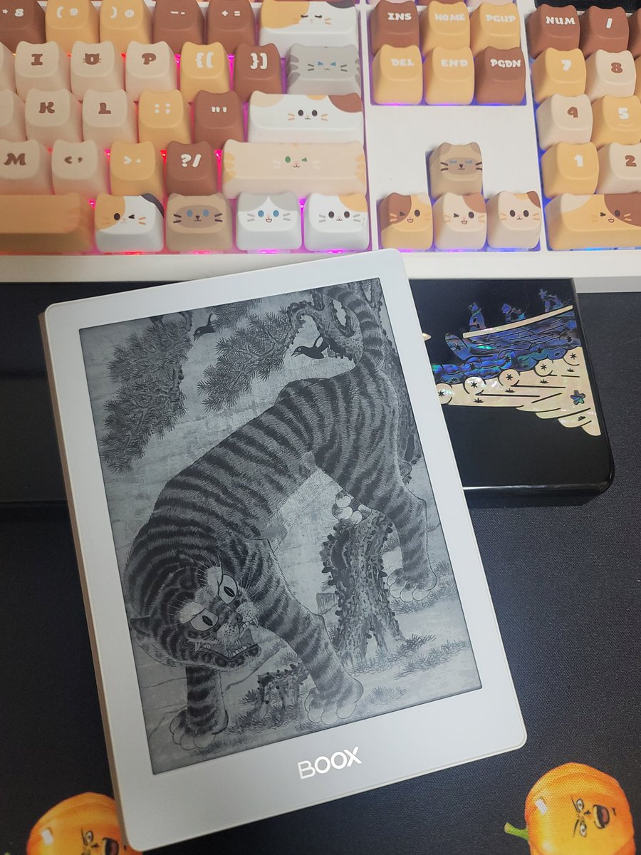 새 이북리더 오심