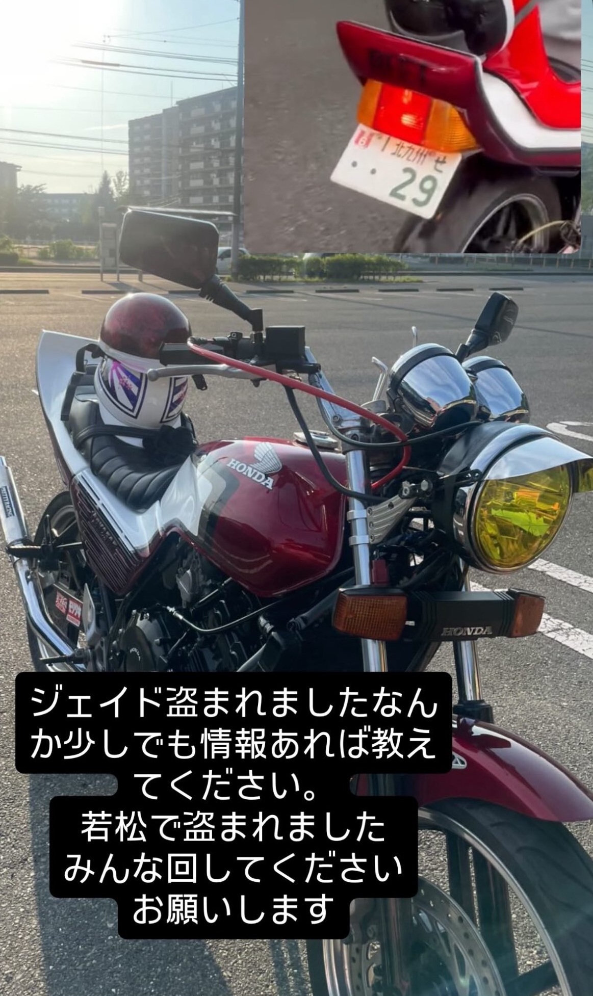 ハッチャ様 ザナックス XANAX 限定 硬式 スペクタス キャッチャーミット