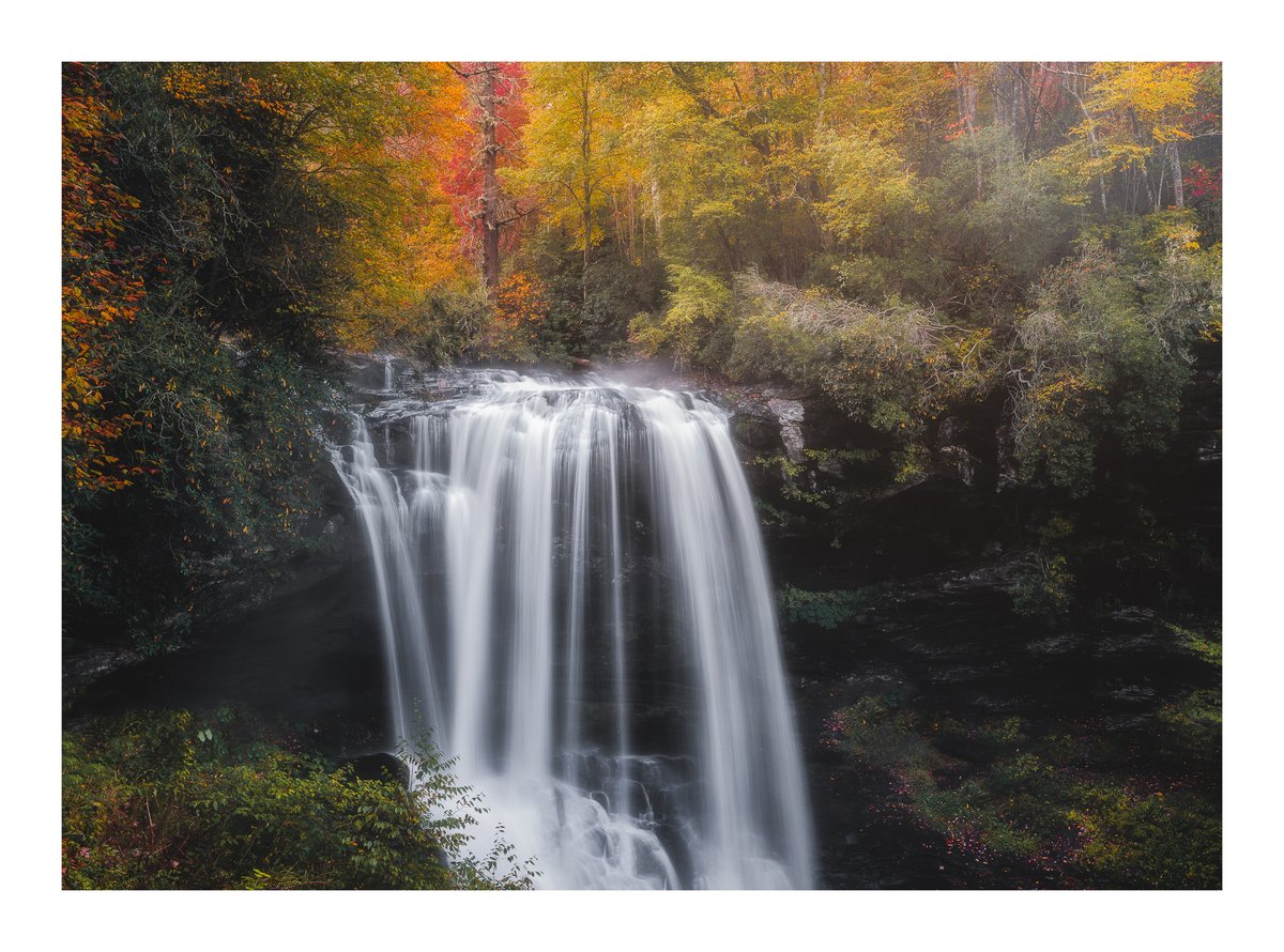 I know I'm a little bias, but I love me some North Carolina...especially this time of year!