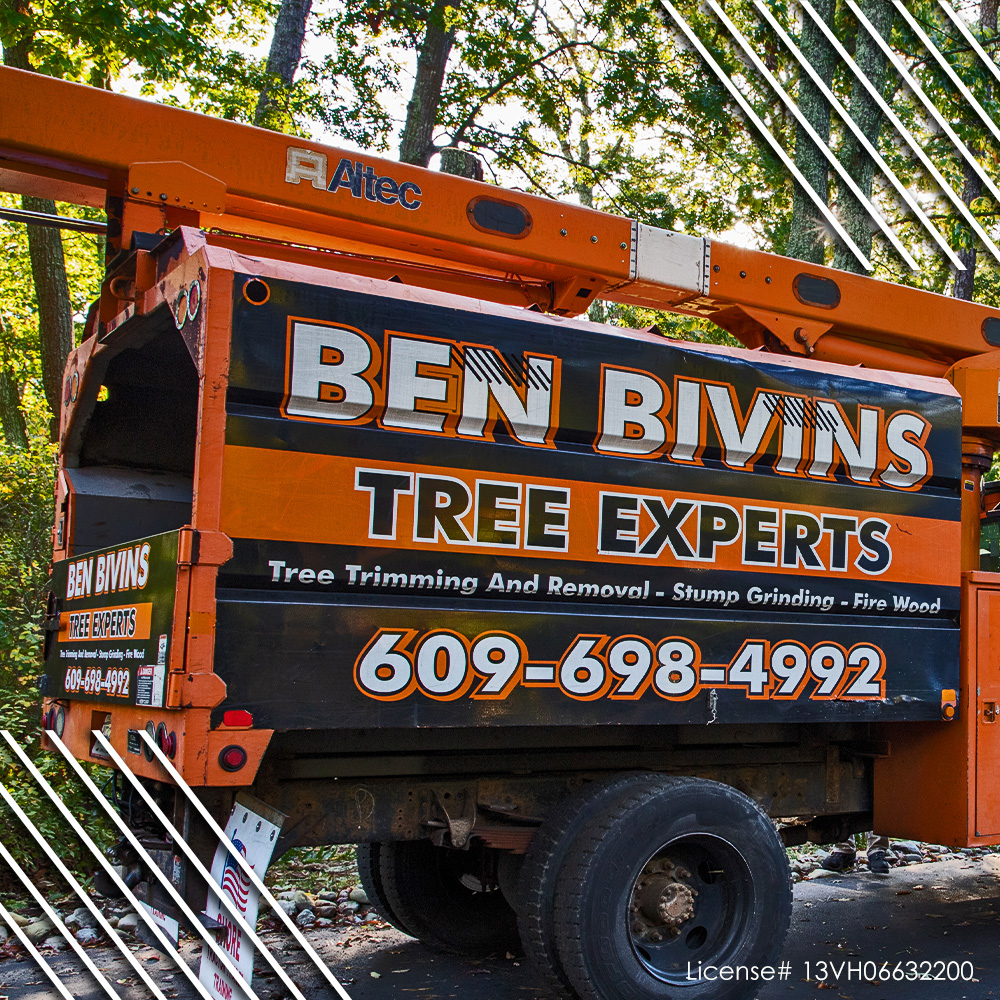 BivinsTree's tweet image. When our orange and black truck rolls up, you know your trees are in expert hands. Our experienced crew takes pride in leaving every property safe, beautiful, and clean. Book now to ensure your spot on our schedule this season.
#TreeCare #TreeRemoval #StumpGrinding #NJTreeService