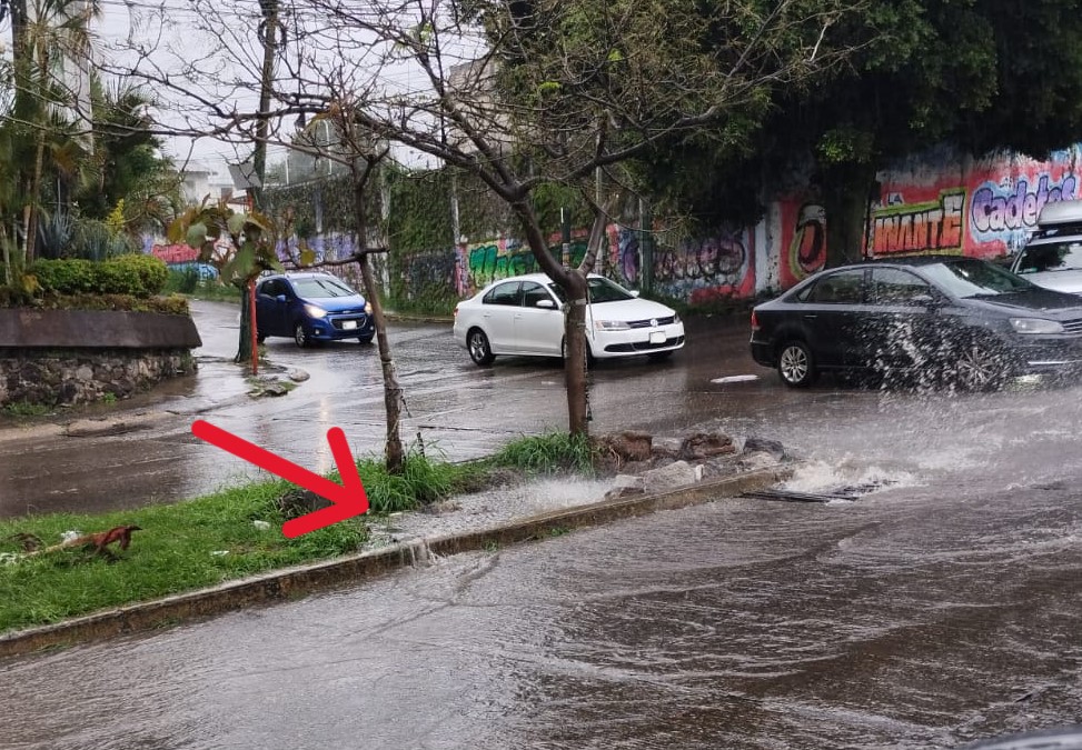 Hace unos minutos una persona cayó en el camellón de Vicente Guerrero y San Cristóbal. Al menos 5 puntos de esta avenida representan un riesgo para peatones: obras inconclusas, mal hechas y espacios abandonados de <a href="/SapacCuernavaca/">SAPAC CUERNAVACA</a> y <a href="/CuernavacaGob/">Municipio Cuernavaca</a>. 🚶‍♀️⚠️
Reportar al 070 no