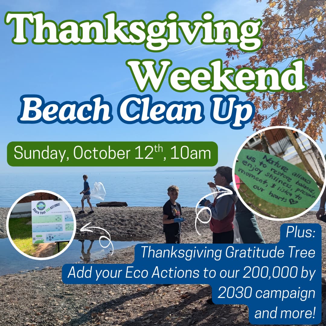 Join the Burlington Beach cleanup this Sunday, Oct. 12 at 10 a.m. with BurlingtonGreen Environmental Association. Visit burlingtongreen.org/events for more information.