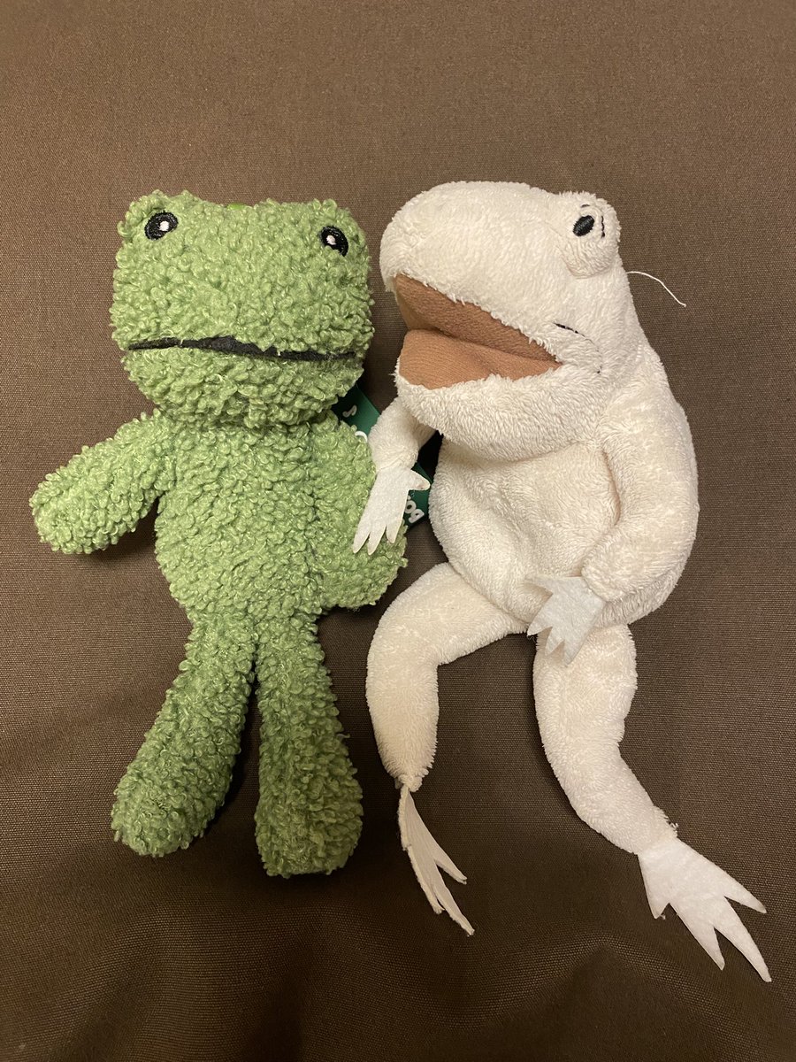 minexon's tweet image. かえるちゃん達の代表2匹連れてってよかった。ペンライトと共に大活躍のカエルの時代。