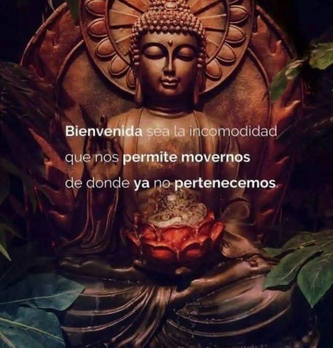 Consciencia1111's tweet photo. https://t.co/5Uwqu4HWp3