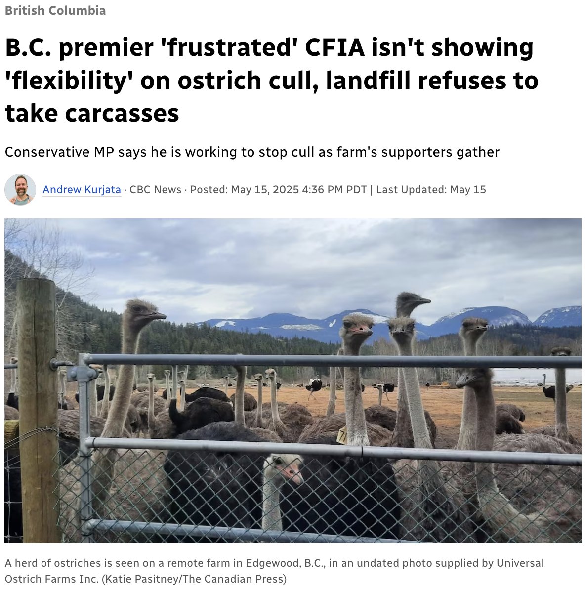 Kat Kanada tweet media