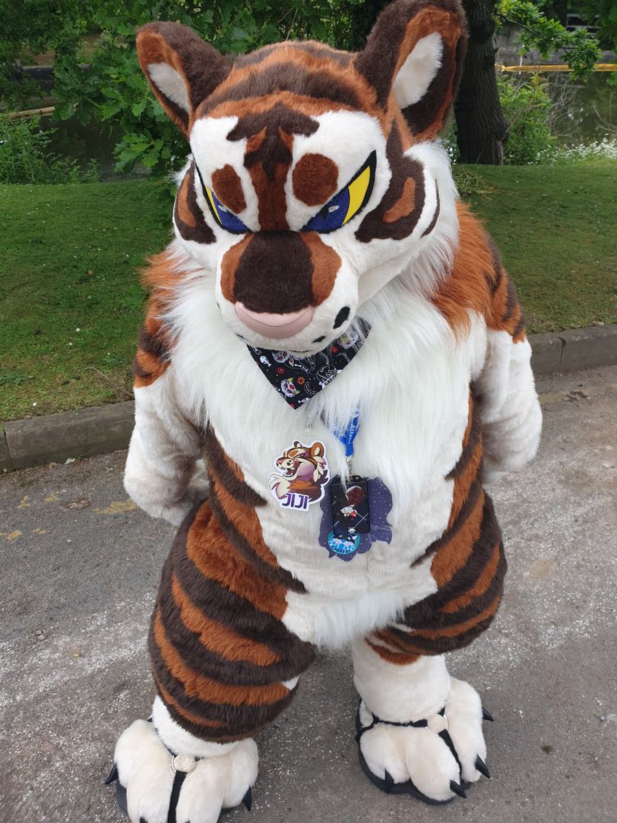 When I come back from holiday I’m going to pop the tiggy up on the dealers den.
Unfortunately (really it’s a good thing), I’ve lost so much weight now it’s super obvious when wearing the suit and it’d require some heavy taking in for it to fit :’) 
#fursuitforsale