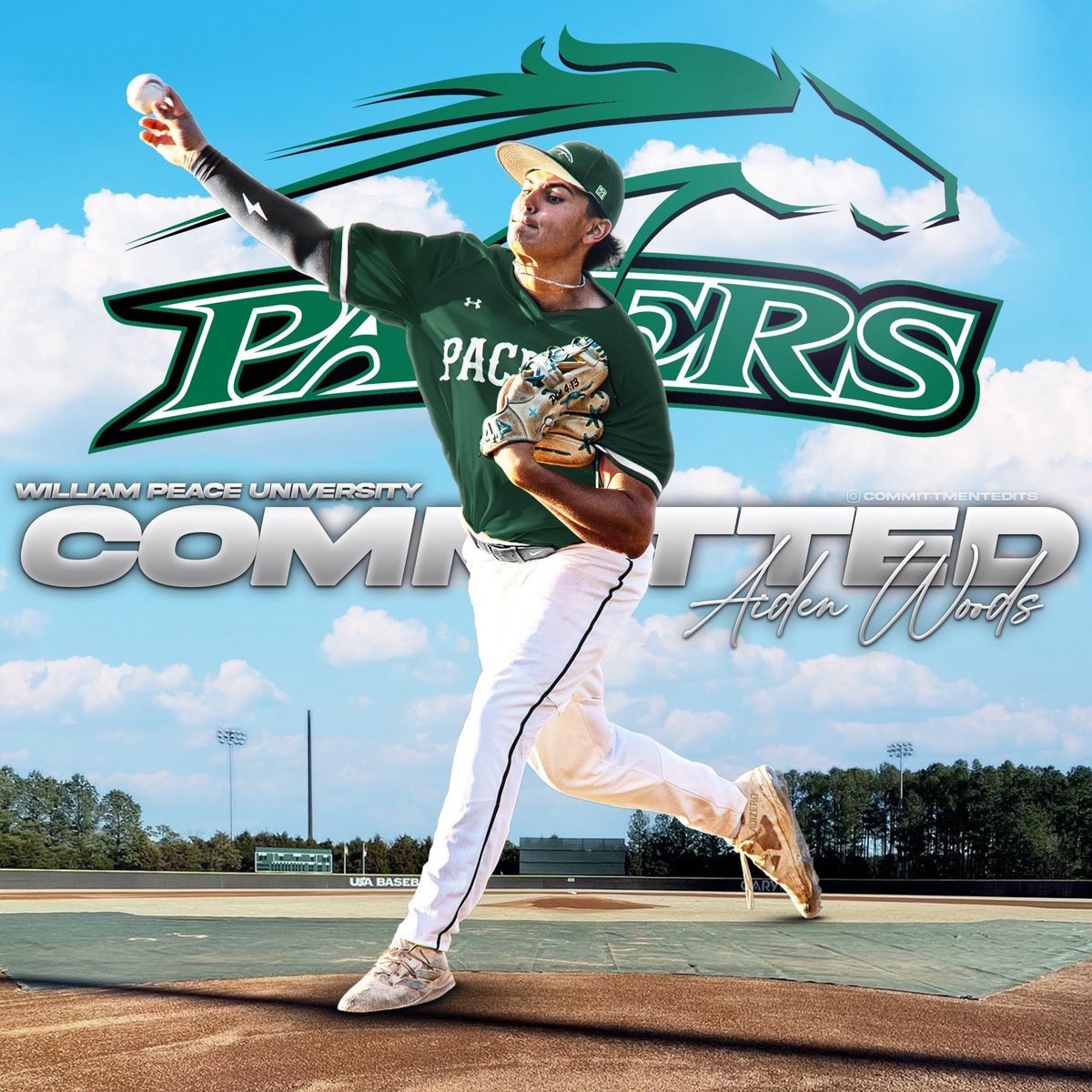 Aiden Woods tweet media