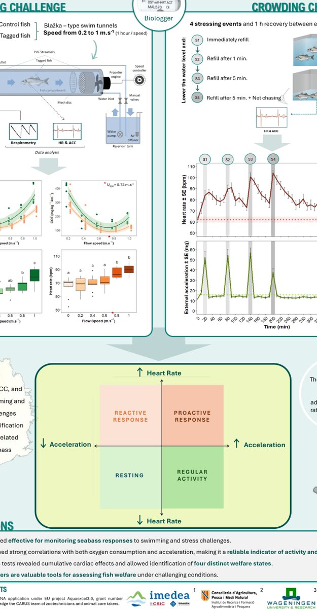 Star-Oddi (@staroddi) on Twitter photo Esther Hoyo Alvarez and colleagues have an e-poster at <a href="/easaqua/">European Aquaculture Society (EAS)</a> 2025 meeting where they characterize the welfare states of seabass based on physiologic and and behavioural responses to stress using physio-logging data from Star-Oddi.
#heartrate #physiologger #biologger Esther Hoyo Alvarez and colleagues have an e-poster at <a href="/easaqua/">European Aquaculture Society (EAS)</a> 2025 meeting where they characterize the welfare states of seabass based on physiologic and and behavioural responses to stress using physio-logging data from Star-Oddi.
#heartrate #physiologger #biologger