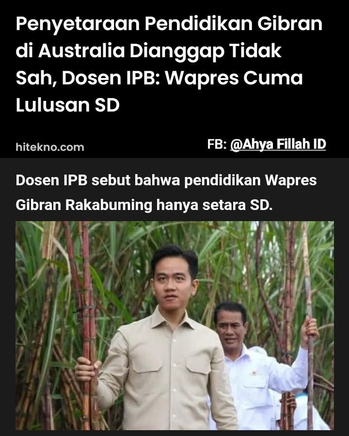 Dayate440908's tweet photo. @DokterTifa Makzul kan c Fufufafa 😡😡😡 https://t.co/Ig45iEh0XT