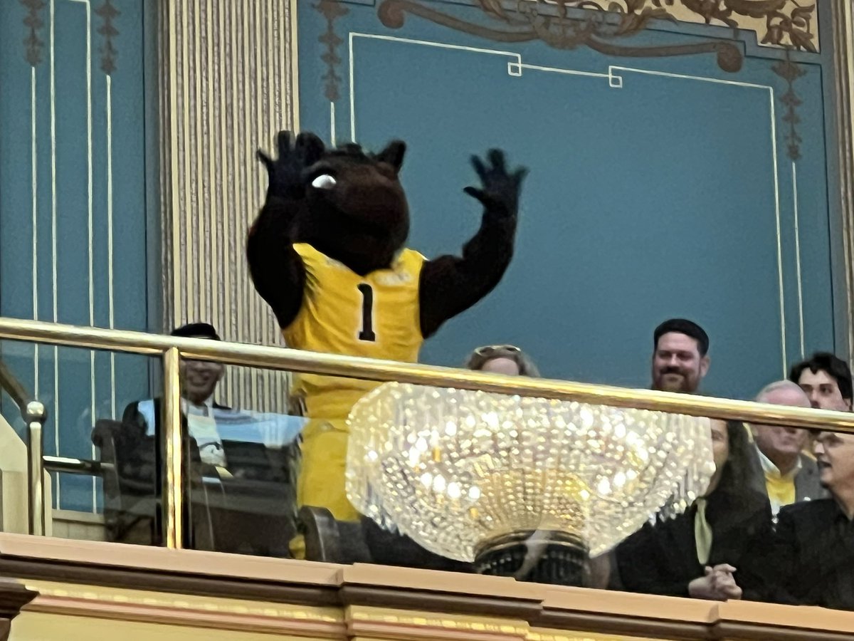 Craig Mauger tweet media