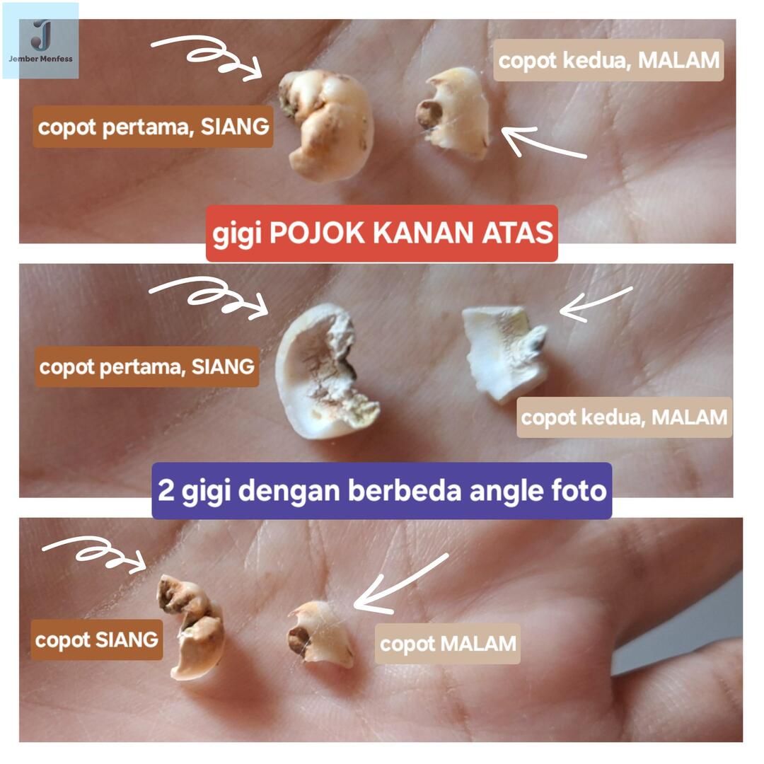 Base Jember tweet media