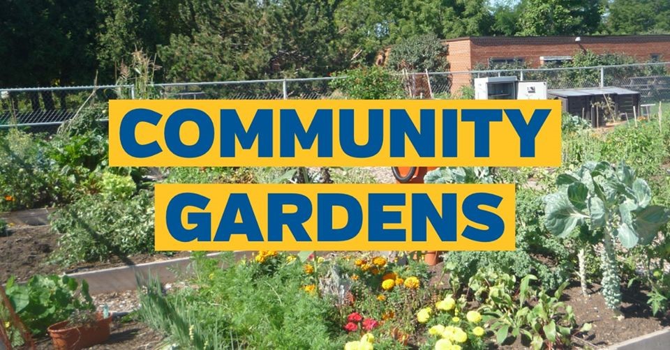 Applications are open for the City of Burlington's community garden plots for the 2026 season. Apply by Dec. 15 at burlington.ca/communitygarde….