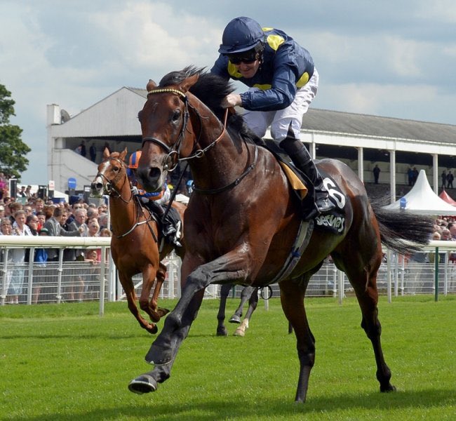 Storm The Stars ⛈️ ✨ 
The winners keep coming for son of Sea The Stars 💪 
🇫🇷 Storm Star 3yo 9f
🇫🇷 Wait The Storm 5yo 16f 
🇩🇰 Esquire Hill 4yo 12f (Class 2)
🇭🇺 keeness 5yo 12f

👉Coolagown.ie