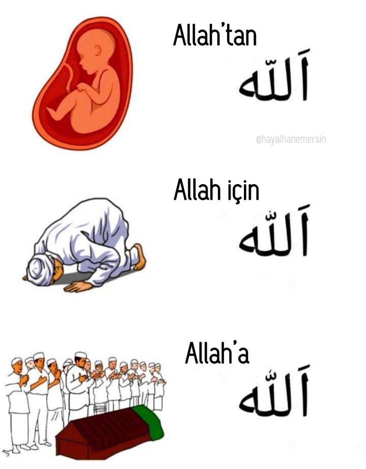 mutevaziiiii's tweet photo. Allah'a döneceğiz https://t.co/T9CfXkO6e1