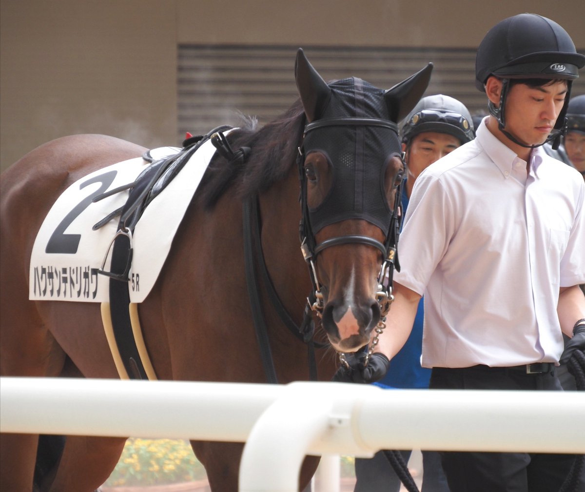 馬のいる景色 投稿詳細｜MOTOCLE