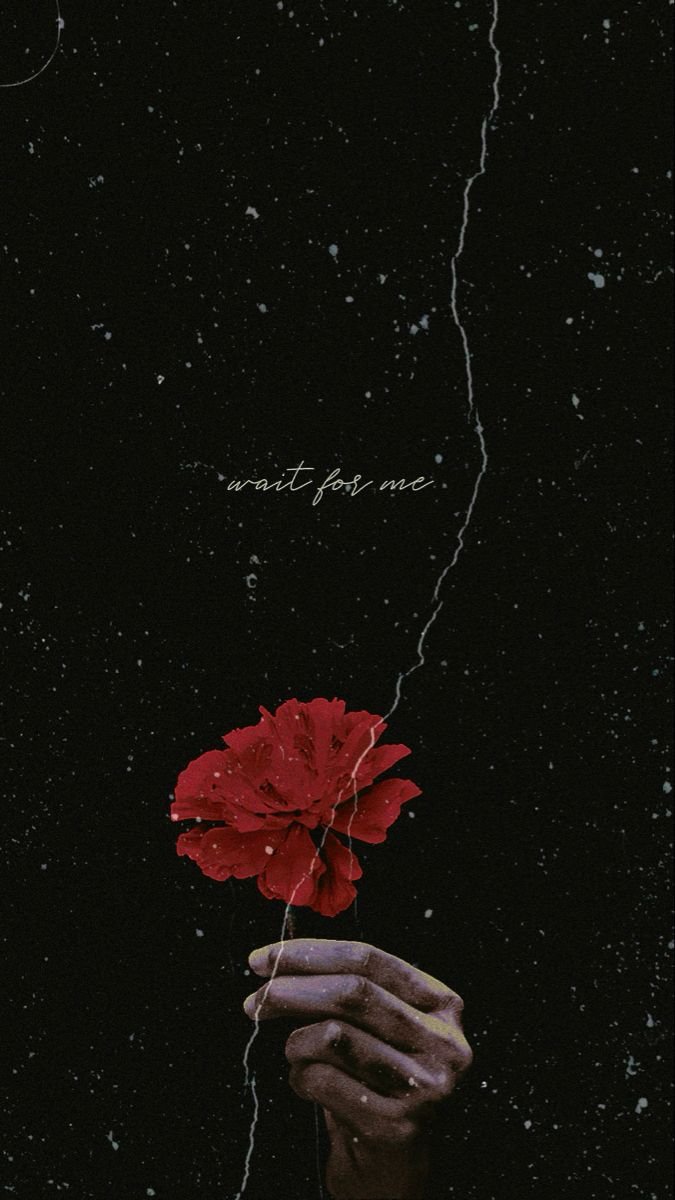 SINGFORSPRING's tweet image. ≿━━━━༺❀༻━━━━≾ㅤ
ㅤ
ㅤㅤ.Wʜⲉʀᴇᴠⲉʀ ʜⲉ ɪs ᴡᴀɴᴅⲉʀɪɴɢ
ㅤAʟᴏɴⲉ ᴜᴘᴏɴ ᴛʜⲉ ⲉᴀʀᴛʜ
ㅤLⲉᴛ ᴀʟʟ ᴏᴜʀ sɪɴɢɪɴɢ ғᴏʟʟᴏᴡ ʜɪᴍ
ㅤAɴᴅ ʙʀɪɴɢ ʜɪᴍ ᴄᴏɴғᴏʀᴛㅤ

ㅤㅤㅤㅤㅤ  𝄞