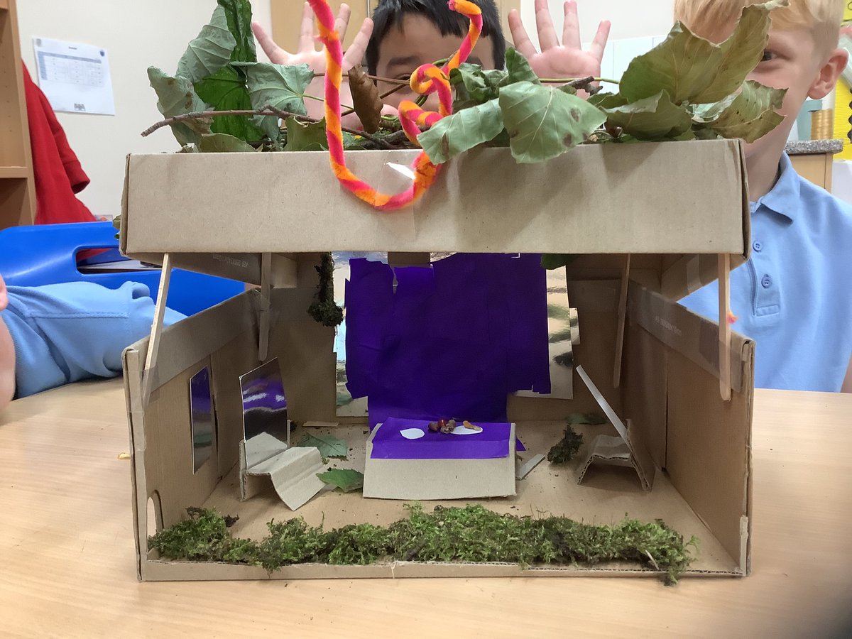 Pine Class St. David’s Haigh tweet media