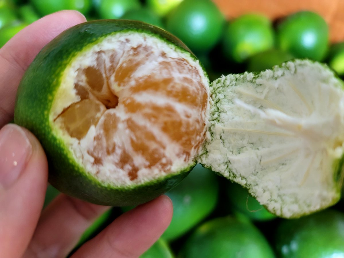 너무 취향저격인 색💚
달다 달아😋😋