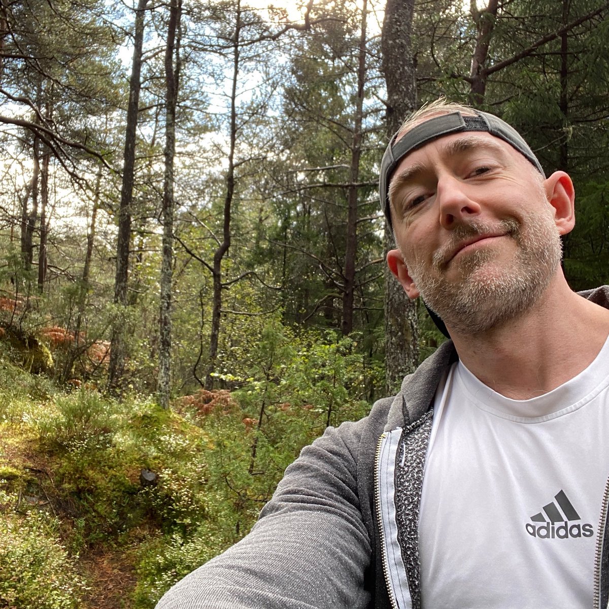 Berlin Gym Buds tweet media