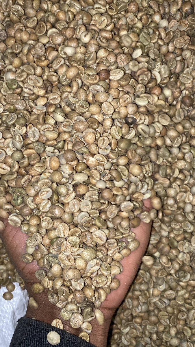 X help 

I am looking for any person with good FAQ (kasse) around Kampala to give you business asap . 

I have a Cleint who needs  20tns but I have 15tns and I want to top up on what I have asap . If you know anyone who has it let them reach out to me via 0701906437 for prices