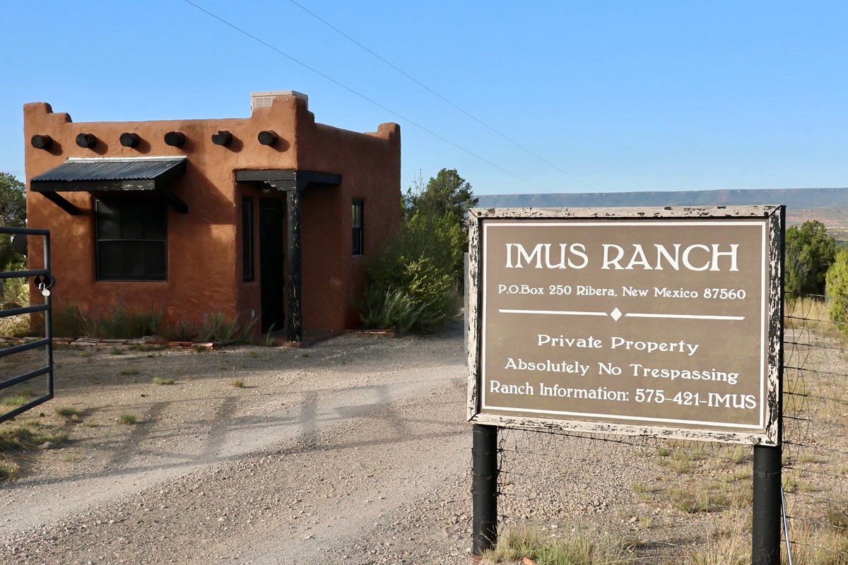 Mike Legeros tweet media