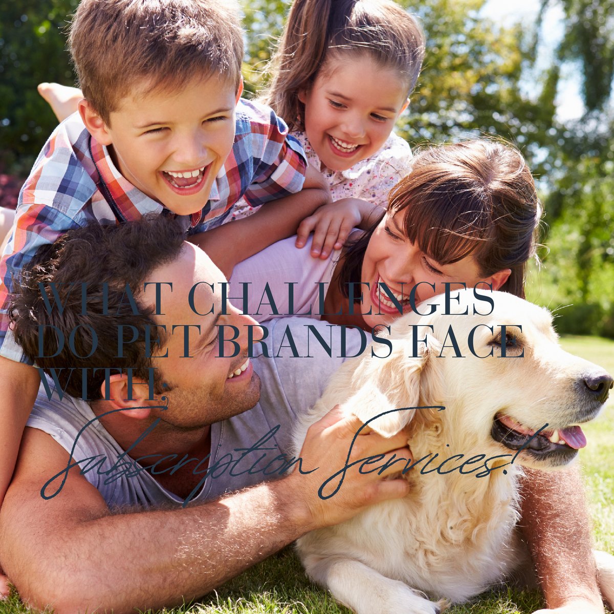 eFulfillService's tweet image. 🐶 Need Help Fulfilling your Pet Brand Subscription boxes? Look no further, here at eFulfillment Service, we are experienced in handling subscription brands.

#eCommerceTips #eCommerceStrategy #PetBrands #ShippingCosts #3PLPartner #eCommerceSuccess #SmallBusinessGrowth #Subscript