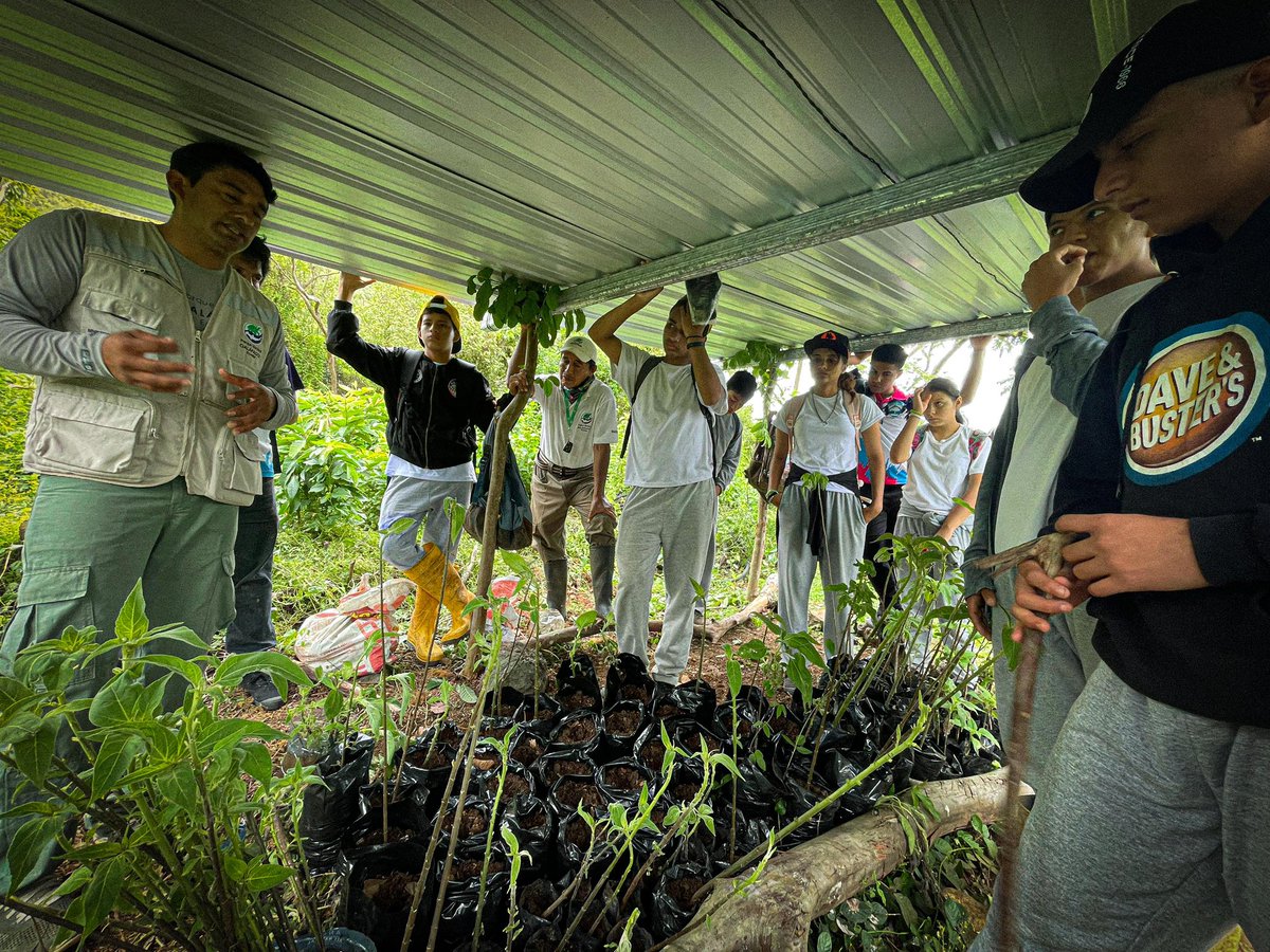 Fundación ECOS tweet media