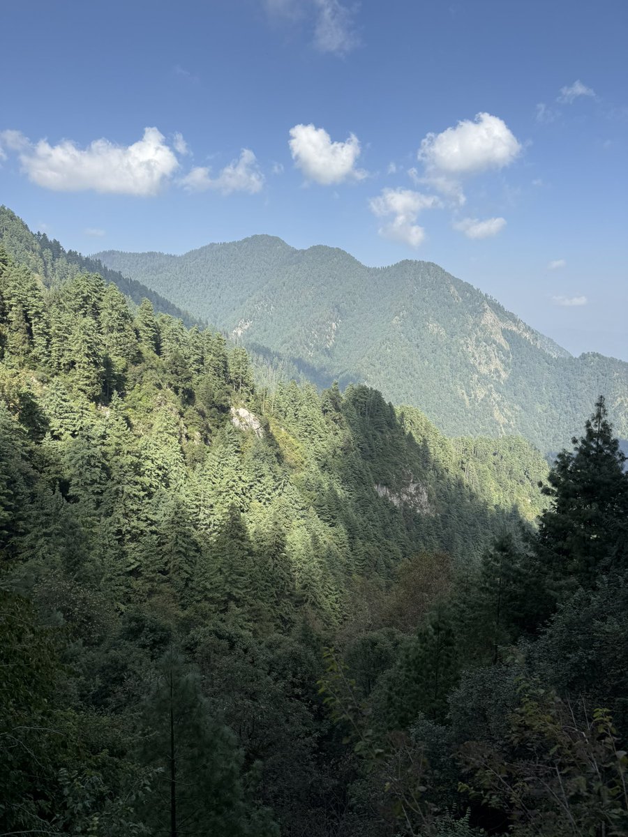 saadk1989_'s tweet photo. Nathia Gali #Pakistan https://t.co/ecvUQ0KJhm