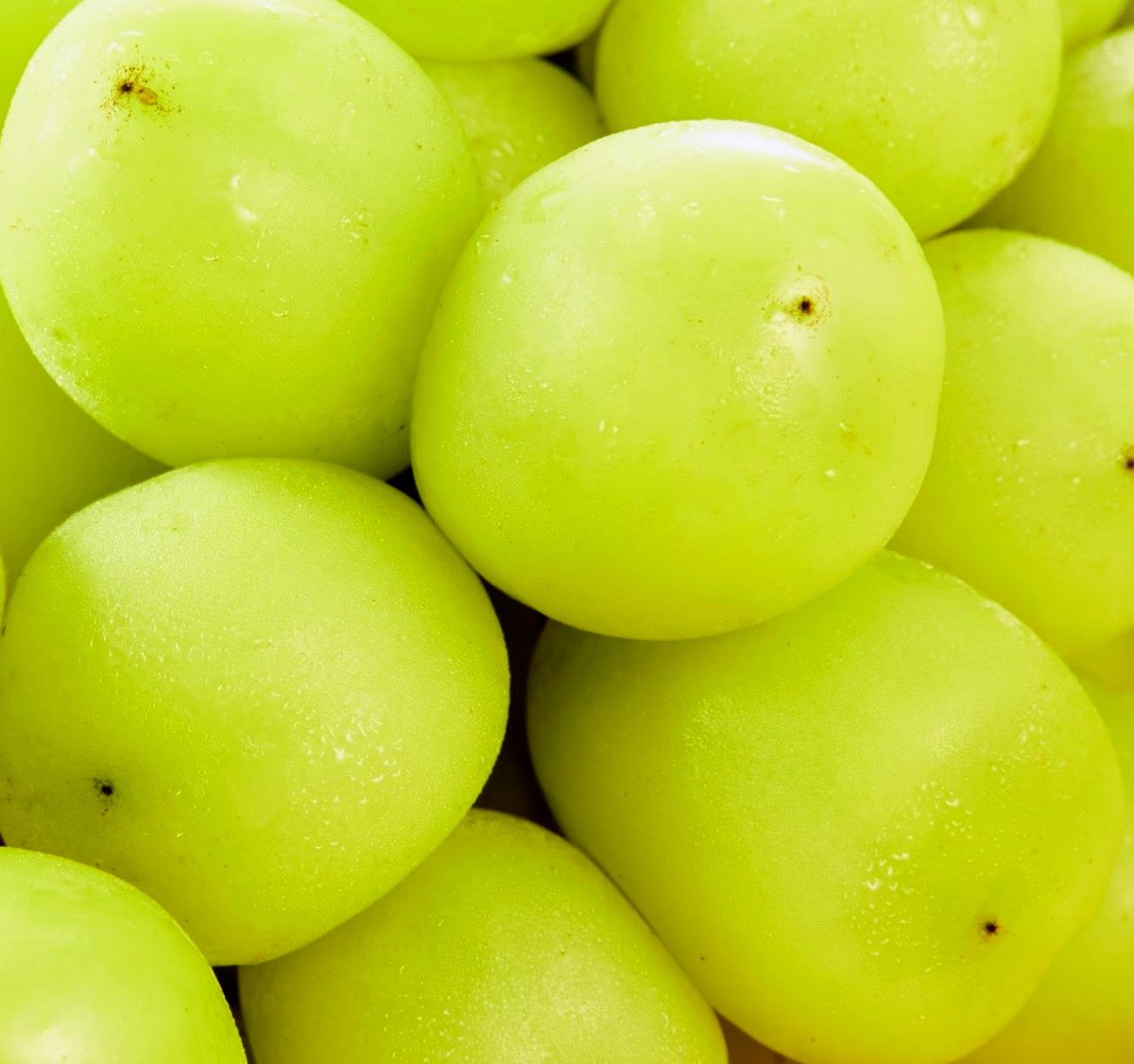 おはようございます😁
これから寝ま〜す
ｵﾔｽﾐﾅｻｲ💤

今年は
シャインマスカットが
安いですね😁
たけうちーむ