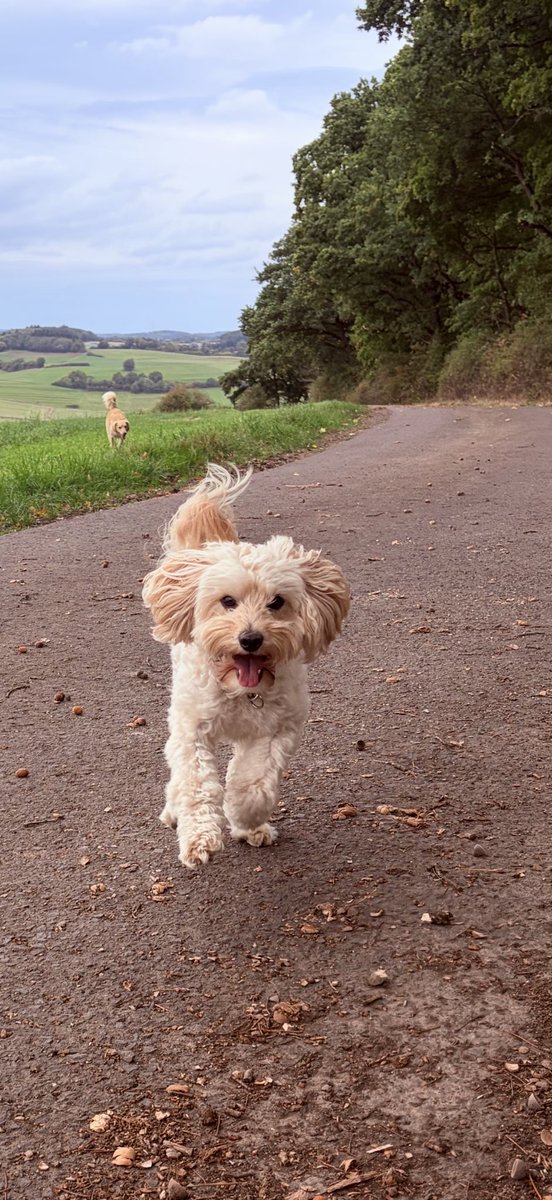 Trotz des Wetters Spaß gehabt