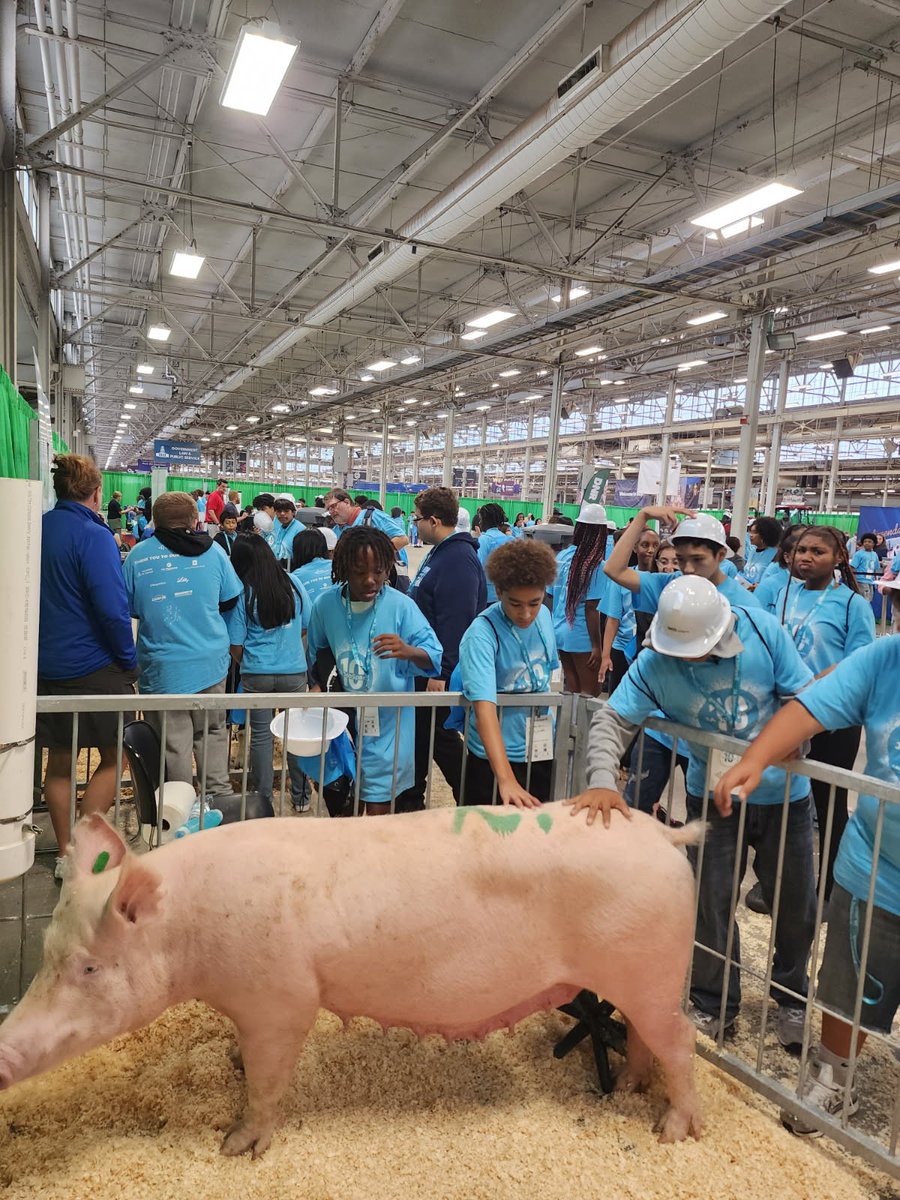 Indiana Pork Farmers (@indianapork) on Twitter photo Indiana Pork is excited to be showcasing pork production at the JA Jobspark at the Indiana State Fairgrounds. From September 23–25, over 10,000 eighth graders will explore hands-on career experiences, gaining insight into future job skills, high school courses, and career Indiana Pork is excited to be showcasing pork production at the JA Jobspark at the Indiana State Fairgrounds. From September 23–25, over 10,000 eighth graders will explore hands-on career experiences, gaining insight into future job skills, high school courses, and career