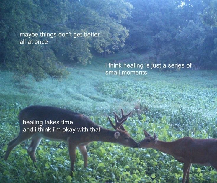 ⋆˙⟡ Cancer, Scorpio, Pisces ⋆˙⟡

⋆˚ a message for you ⋆˚