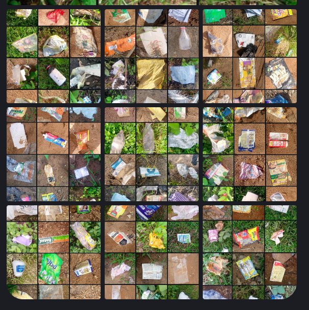 Litter Token ($LTK) 🌱 tweet media