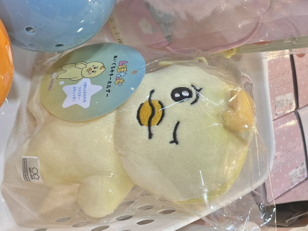 krnuts's tweet image. 여기서 살고 시픔