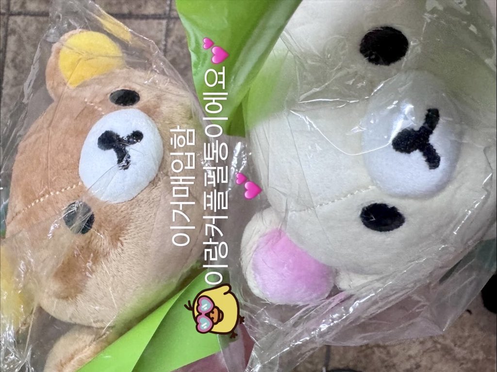 krnuts's tweet image. 여기서 살고 시픔