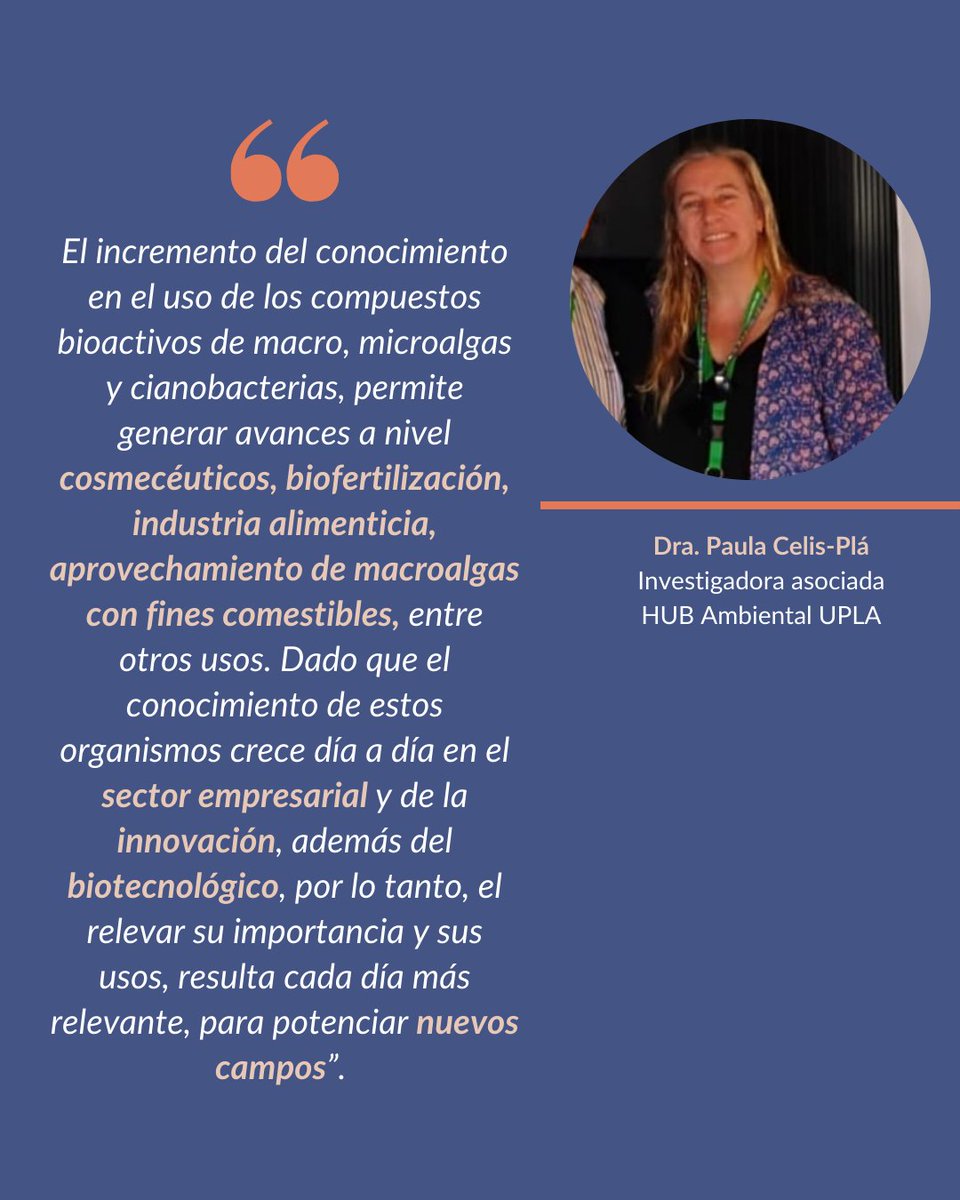 HUB Ambiental UPLA tweet media