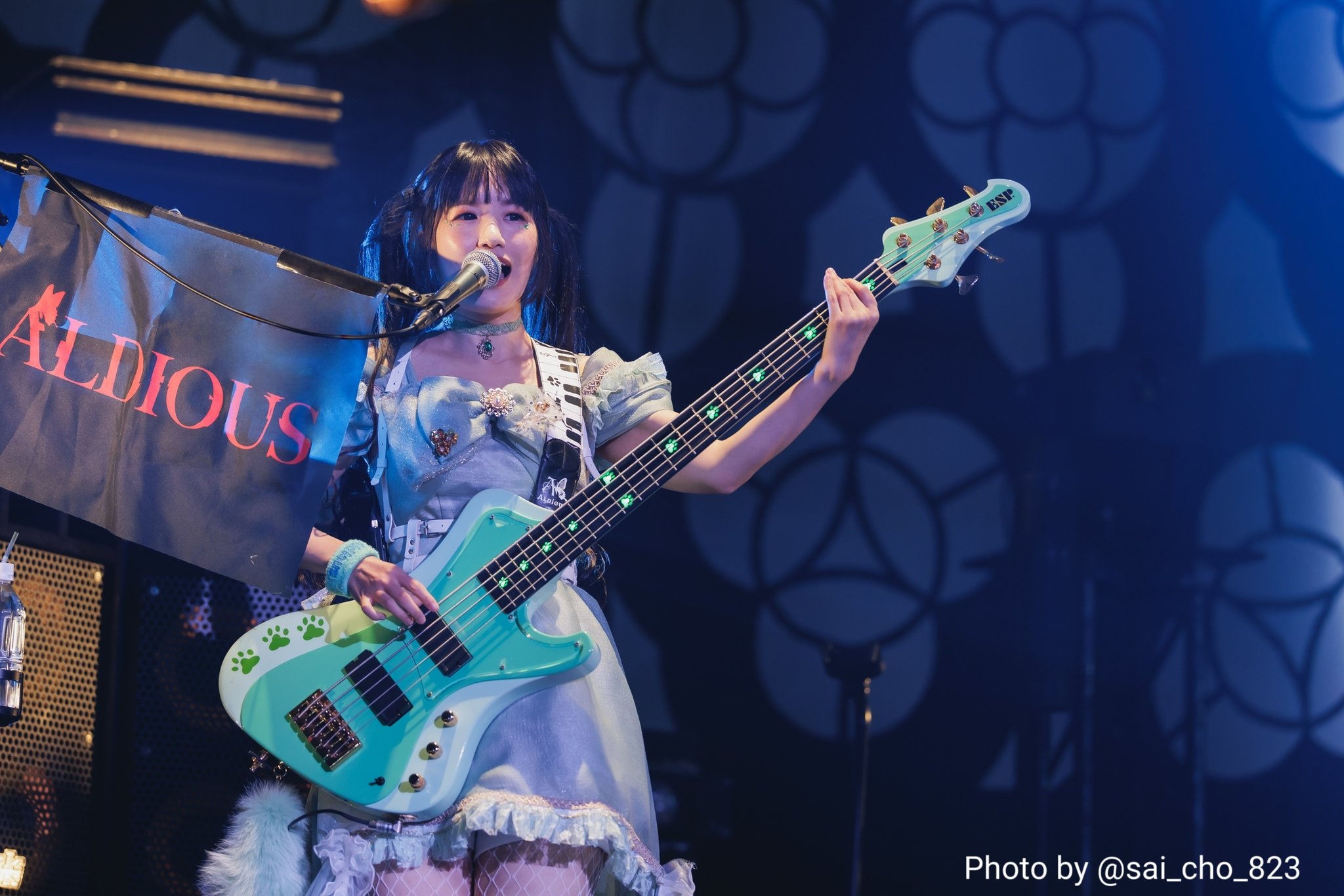 2010年　Aldious リストバンド 　新品未開封 新春抽選会プレゼント一覧&応募方法のご案内 | Aldious Official