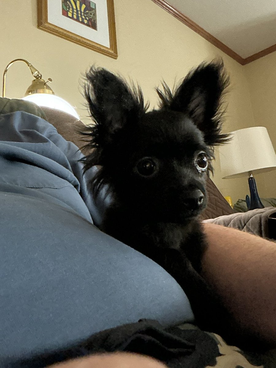 Timeline cleanser… Bella.