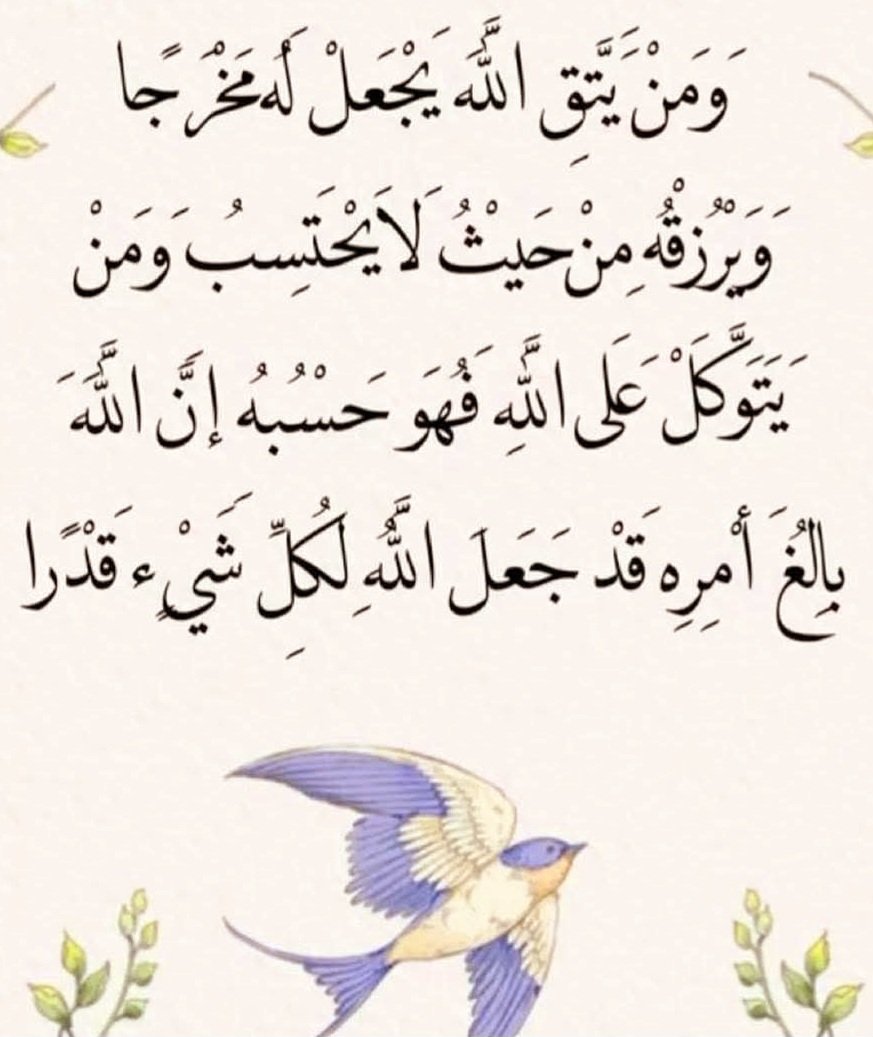 الجنة غايتي 🌷🌼🍀 (@faeqah_m) on Twitter photo 