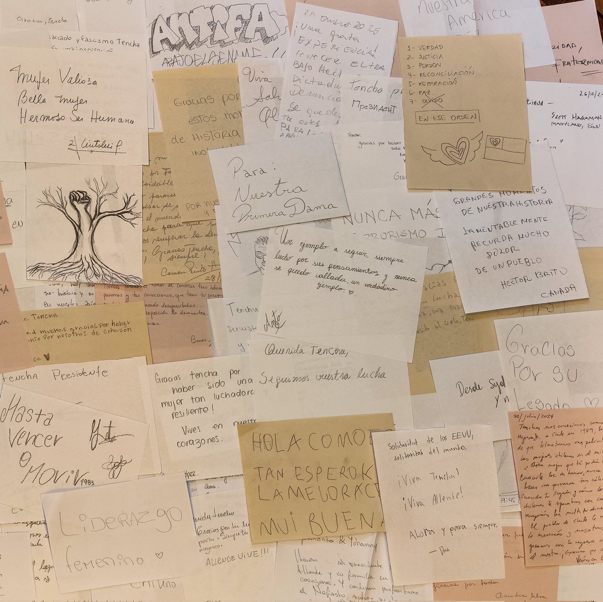 Hemos concluido la exposición “Tencha: memoria epistolar”

Queremos agradecer de corazón a todas y todos quienes nos visitaron, y muy especialmente a los cientos quienes se detuvieron a escribirle una carta a Tencha.

Muchas gracias.