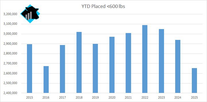 From January through August, the cattle placed on feed weighing less than 600 pounds declined 285,000 head or roughly 10% from last year.