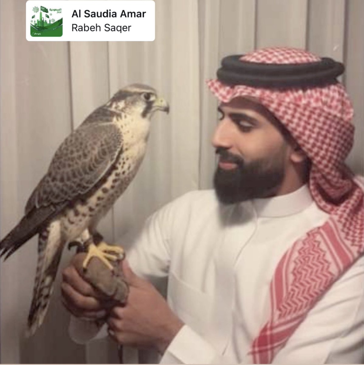 ماهر المطيري tweet media