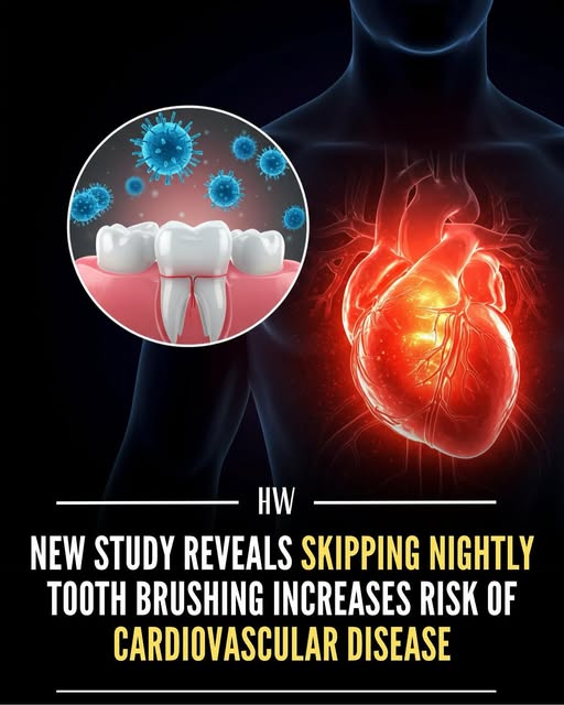 RedstoneHealthc's tweet image. A new study shows that skipping tooth brushing at night can harm your heart. Researchers found that poor nighttime oral hygiene is linked to a higher risk of cardiovascular disease due to bacteria that thrive in the mouth while we sleep.
#Redstonehealthcare